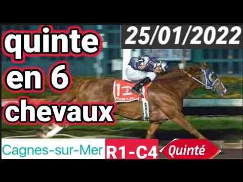 Comment regarder Equidia en direct gratuitement ?