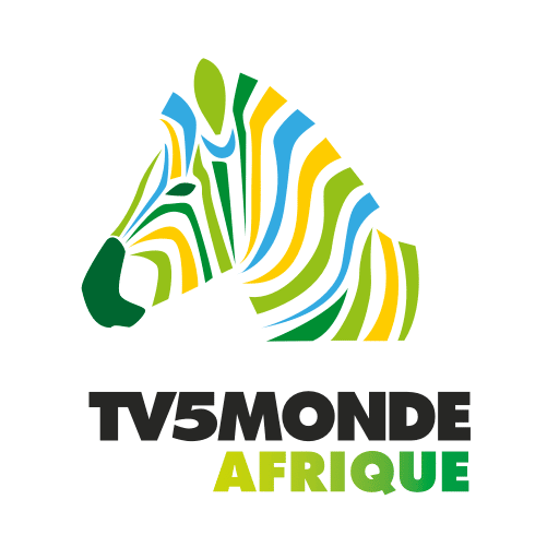 Quel canal pour TV5MONDE sur Orange ?